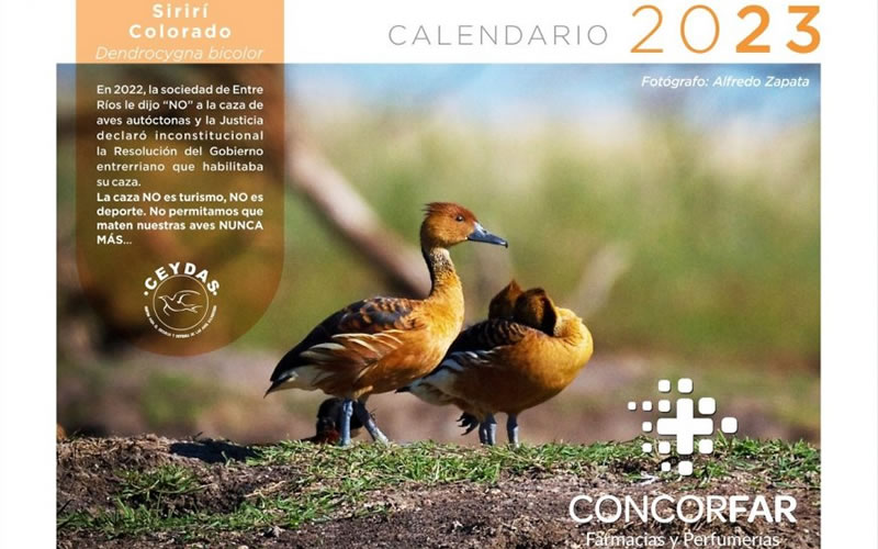 Lanzan original calendario para desalentar la cacería de animales autóctonos en Entre Ríos