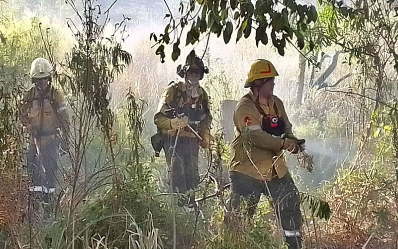 Incendio forestal afectó a 13 hectáreas en el Departamento Concordia