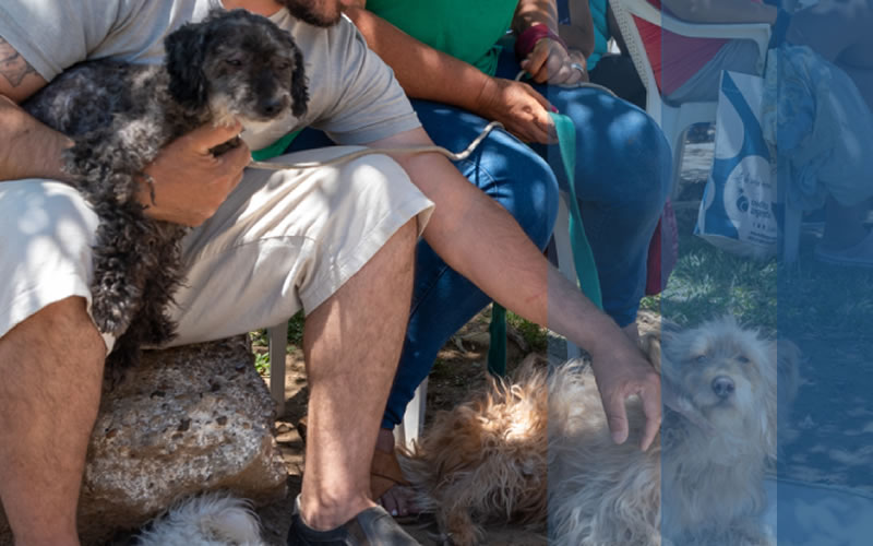 Veterinaria Municipal: Cronograma de vacunación y desparasitación