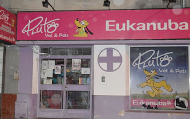 Recomendaciones para el cuidado y la tenencia responsable de nuestras mascotas