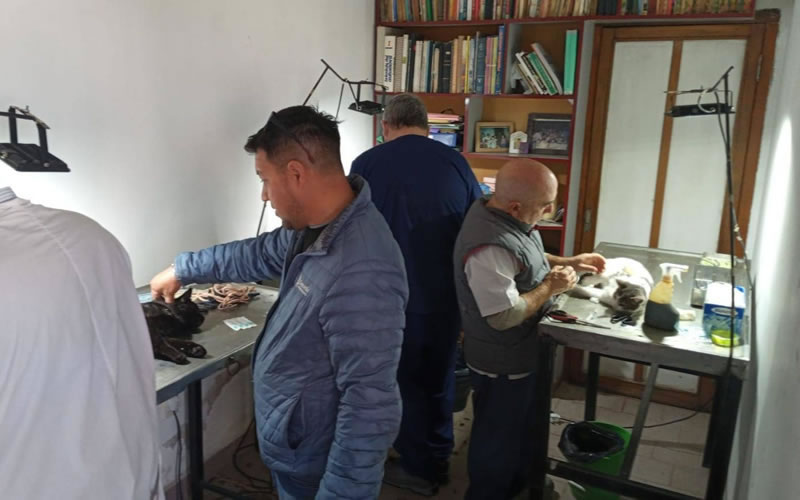 Veterinaria Municipal: Cronograma de vacunación y desparasitación