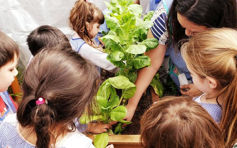 Se abren las inscripciones para el programa municipal “Red de Escuelas Sustentables 2023”