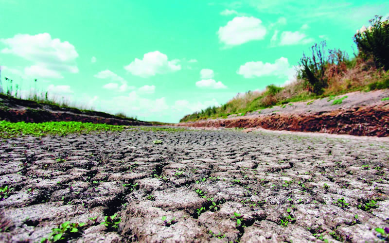 El FMI calcula que el impacto de la sequía es de 9000 millones de dólares