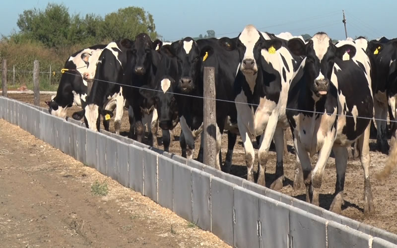 La provincia amplió la emergencia agropecuaria a otras producciones agrícolas perjudicadas por la sequía