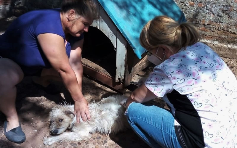 Veterinaria Municipal: Cronograma de castraciones para los barrios