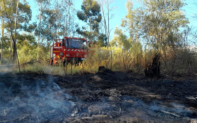 Un incendio forestal afectó varias hectáreas durante el fin de semana