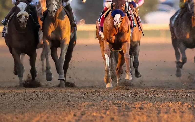 Carreras cuadreras terminaron con una pelea y detenidos