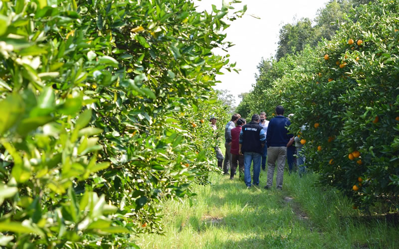 Productos entrerrianos fueron incluidos en el dólar agro: “Hicimos el pedido y fue escuchado”, dijo Bordet