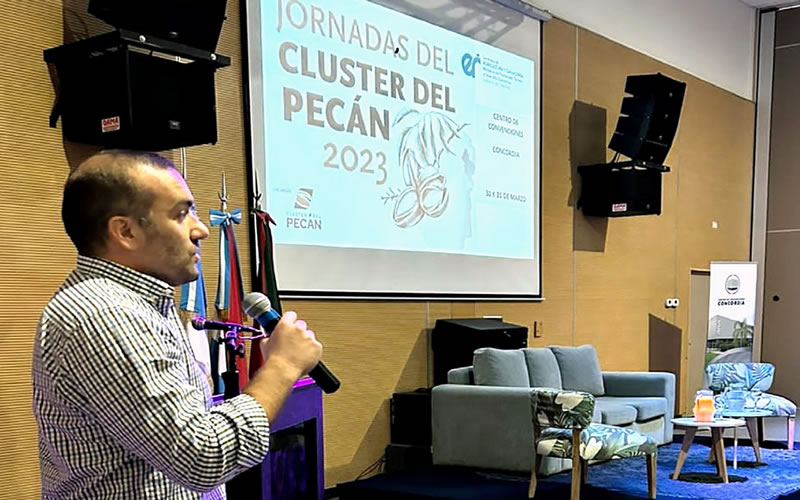 Entre Ríos representa en el nivel nacional el 50 por ciento de las superficies plantadas de nuez pecán por hectárea