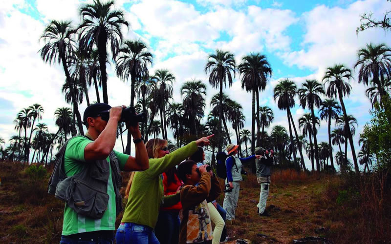 Semana Santa: Casi tres millones de turistas viajaron dentro de Argentina