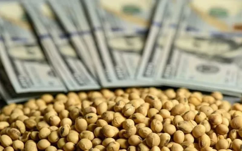 Dólar soja 3: El campo liquidó USD 574 millones y el Banco Central compró USD 332 millones