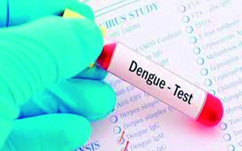 Siguen aumentando los casos de dengue en Concordia