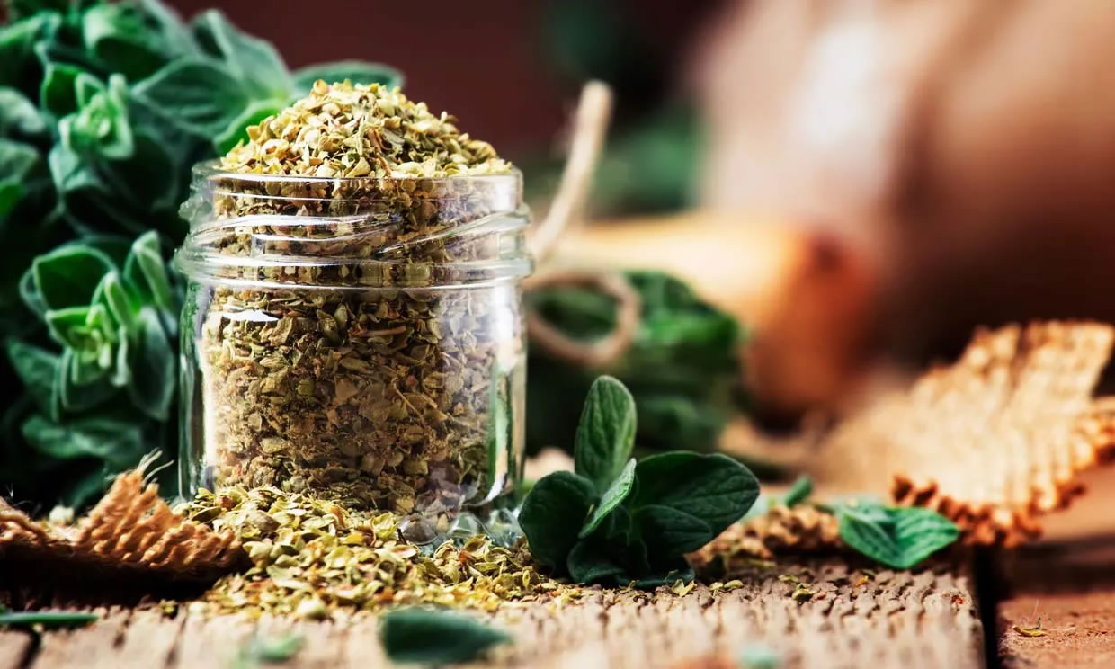 10 interesantes beneficios para la salud que te brinda el orégano
