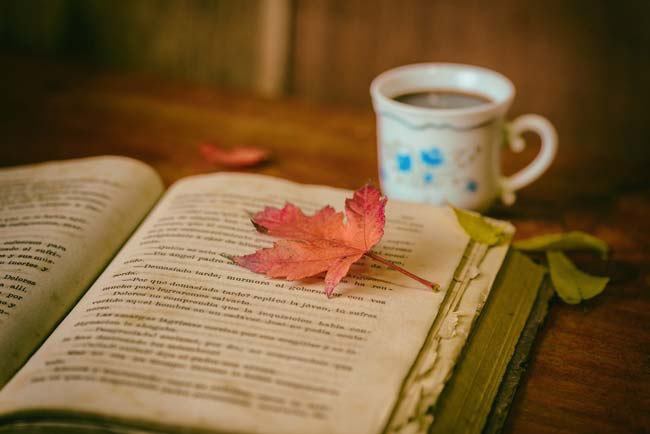 Día Mundial del Libro y de los Derechos de Autor