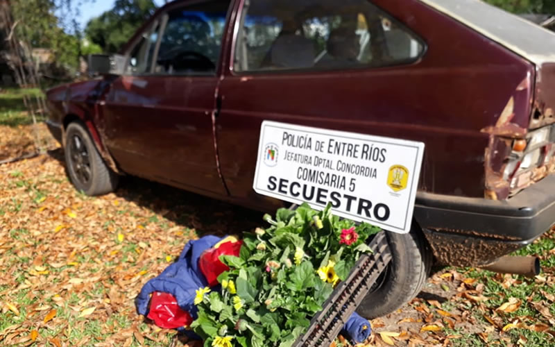 Descubrió a su propio empleado a través de las cámaras de seguridad intentando robarle plantines de su vivero