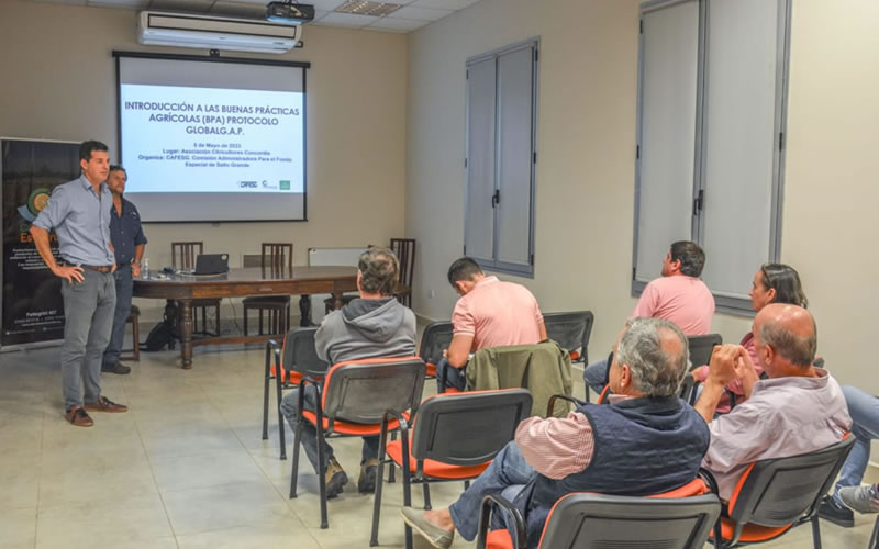 Capacitación a empresarios citrícolas en normas de calidad para la exportación