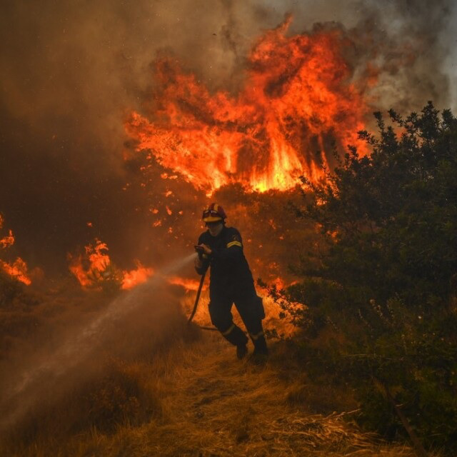 Día Internacional del Bombero Forestal