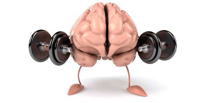Cómo el ejercicio influye a la memoria y el aprendizaje