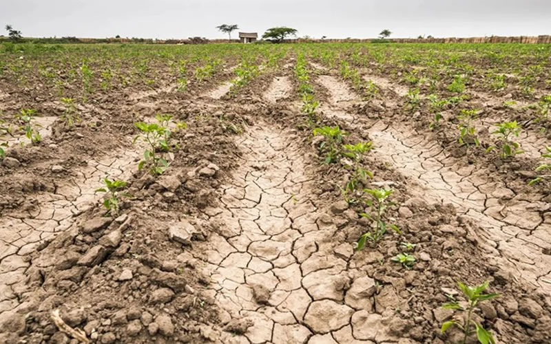 La FAA está en estado de alerta y afirmó que “el Gobierno ha adoptado medidas tibias” ante la sequía