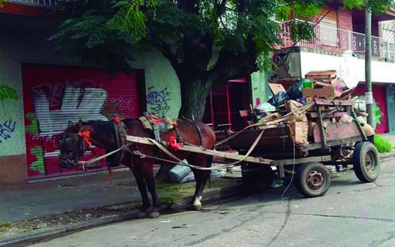 A pesar de los esfuerzos, los carros tirados por caballos aún son una realidad en Concordia