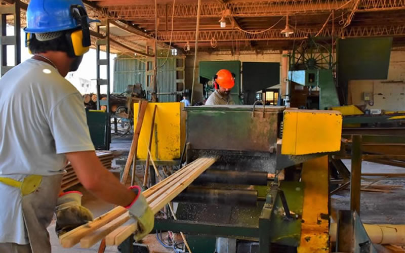 Concordia será sede de la Expo Vivienda y Foresto Industria 2023