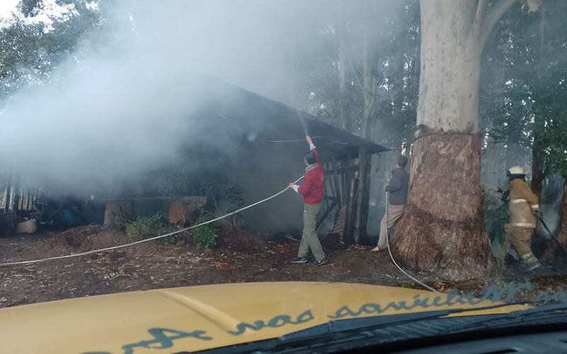 El incendio de unos pastizales se propagó y afectó a un vivero