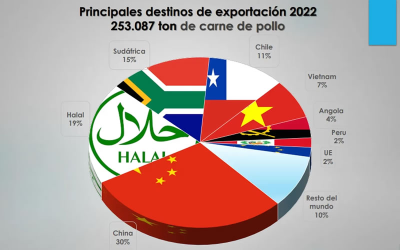 La avicultura proyecta “una producción de 1000 millones de pollos”, tras exportar en 2022 por US$ 400 millones