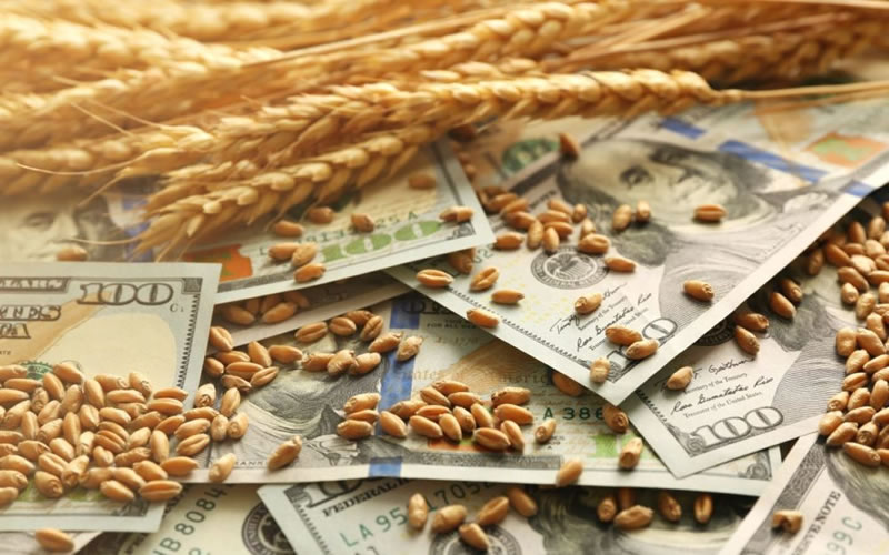 Para FARER, “el dólar agro es nuevo parche que distorsiona y conduce al fracaso”