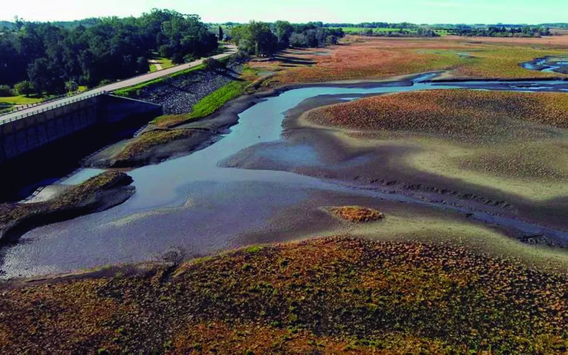 Sequía en Uruguay: El gobierno estimó que en 10 días Montevideo se quedará sin agua potable