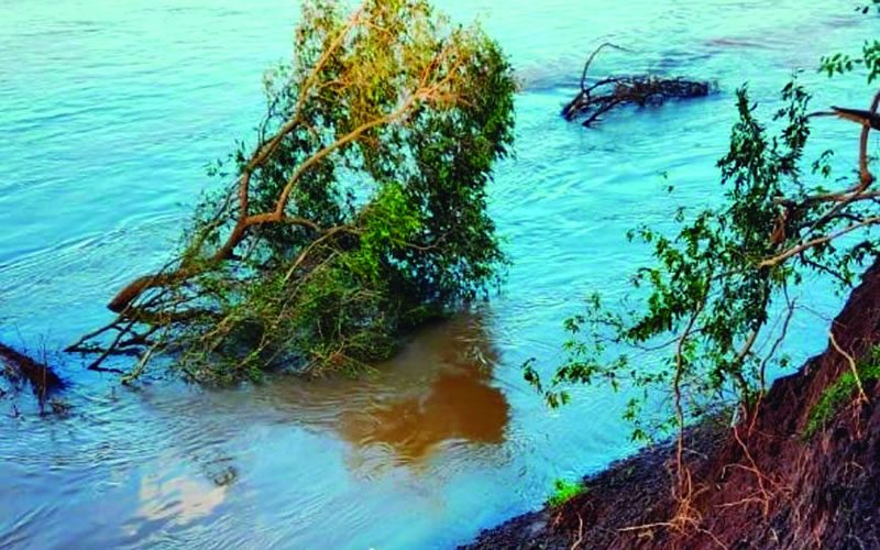Por la creciente, toman medidas en el Parque San Carlos: “La seguridad es nuestra principal preocupación”
