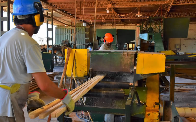 Concordia se prepara para vivir este fin de semana la Expo Vivienda de Madera y Foresto Industria 2023