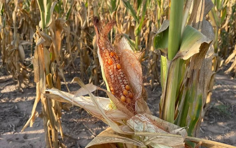 Una vez más: Argentina terminará este año lejos de los superávits gemelos necesarios para acumular dólares