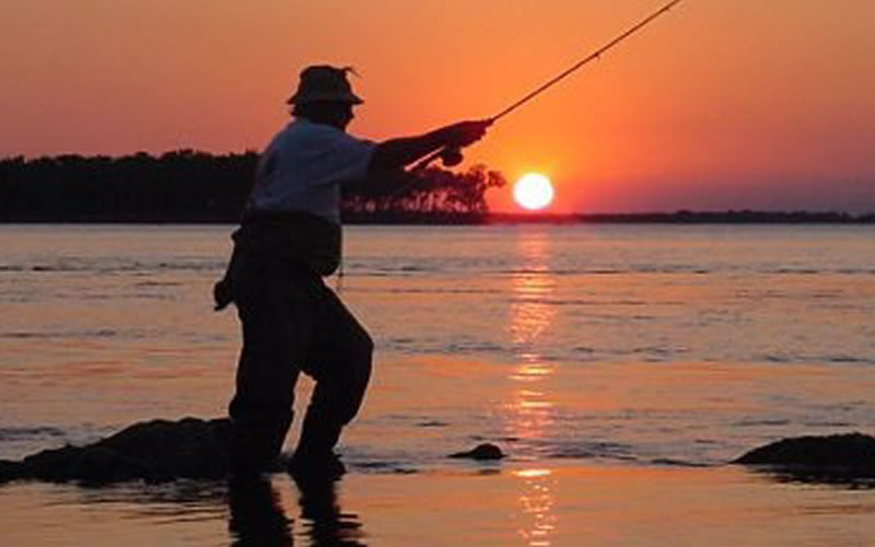 Para el 23 de julio: Primera Fiesta del Bicudo en el Club Pesca