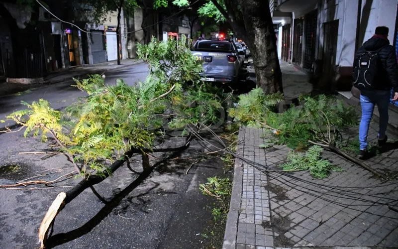 La Cooperativa Eléctrica de Concordia difundió «sugerencias ante posibles ráfagas de viento»
