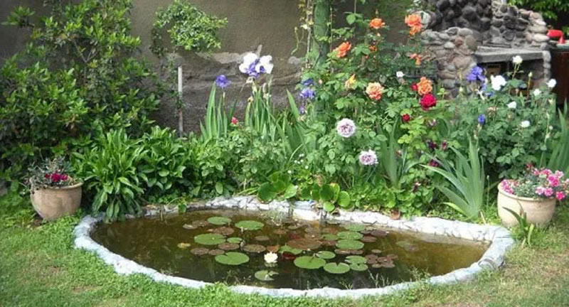 Convierte tu jardín en un paraíso de biodiversidad