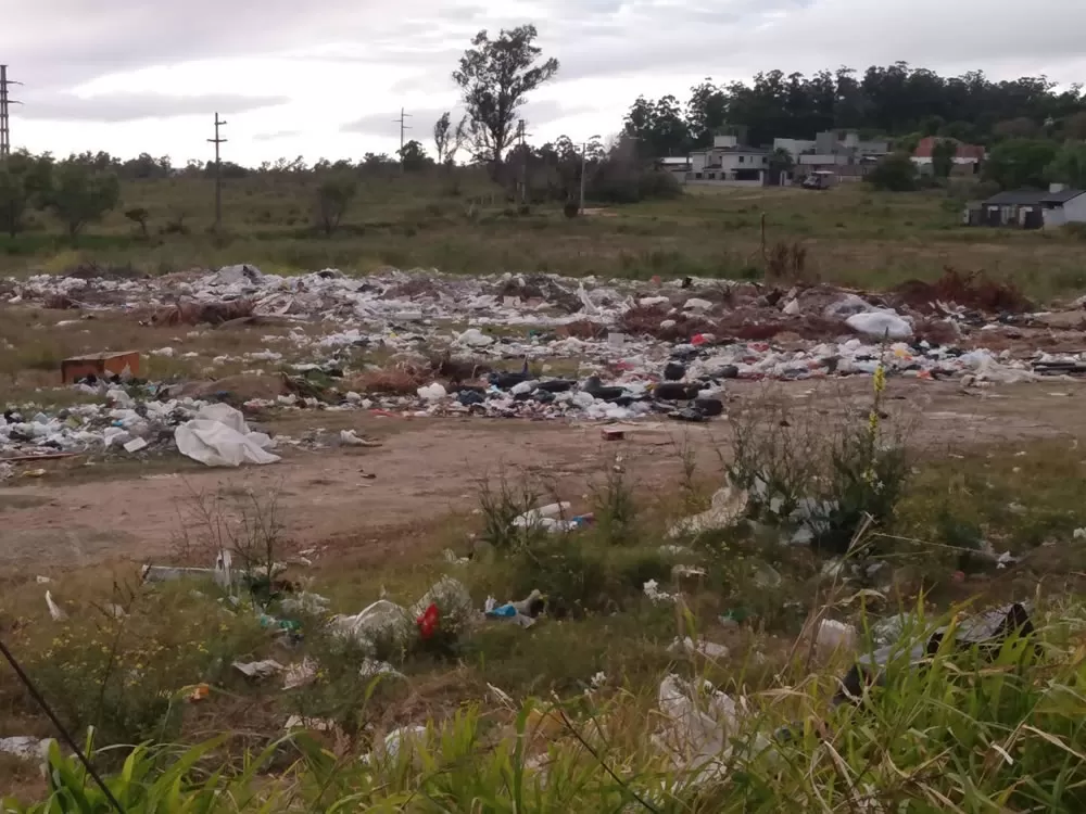 Falta de mantenimiento Estatal o desafío cultural: ¿Quiénes son los responsables de los basurales en Concordia?