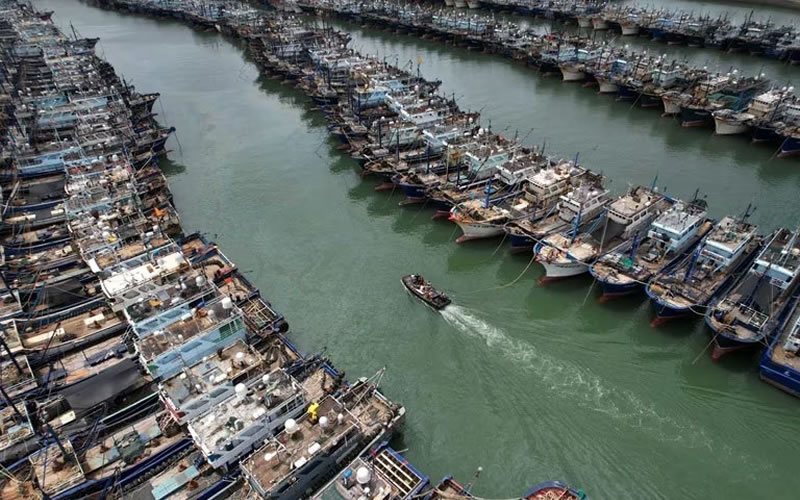 Barcos chinos pescan de forma ilegal cada vez más cerca de la costa amazónica de Brasil: “Lula sabe que esto está pasando”