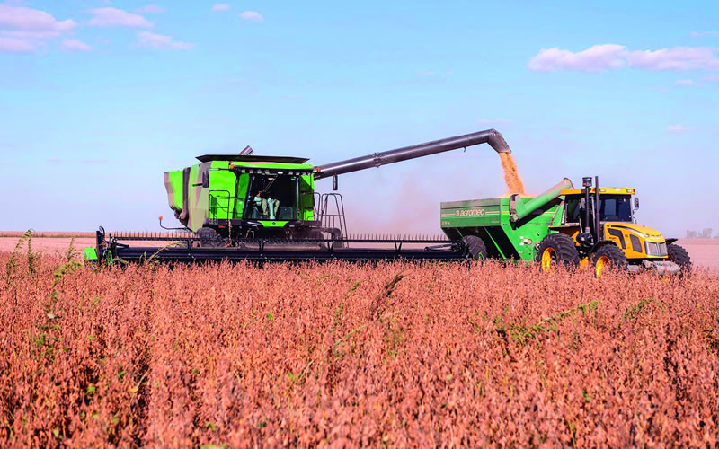La agricultura en Entre Ríos registra una pérdida récord del 40% interanual