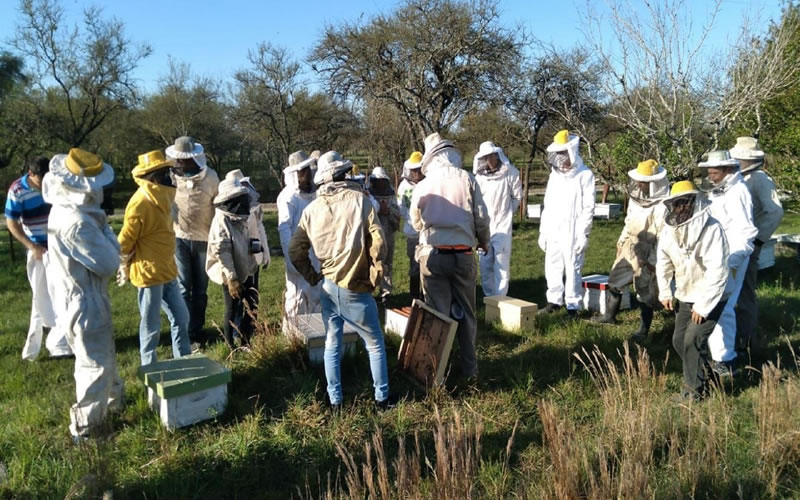 Entre Ríos adhirió al programa de «Fortalecimiento Productivo para la Cadena Apícola»