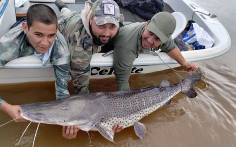 Programa de CARU: Evaluación de la población de Surubí en el río Uruguay