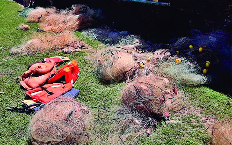 En una semana secuestraron más de mil metros de redes prohibidas para la pesca