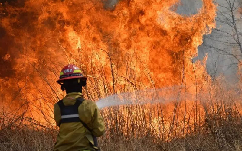 Día Mundial de la Prevención de Incendios Forestales