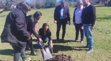 Entrega arboles Liebig 2