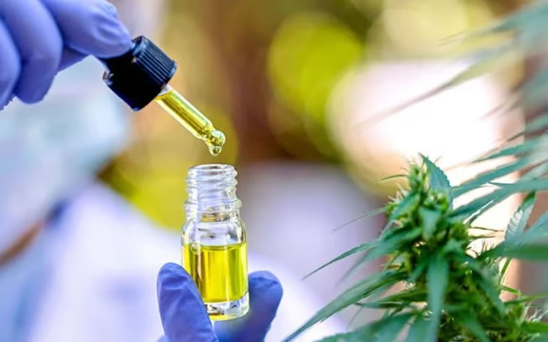 La ley provincial de Cannabis Medicinal fue aprobada hace dos años y aún no fue reglamentada