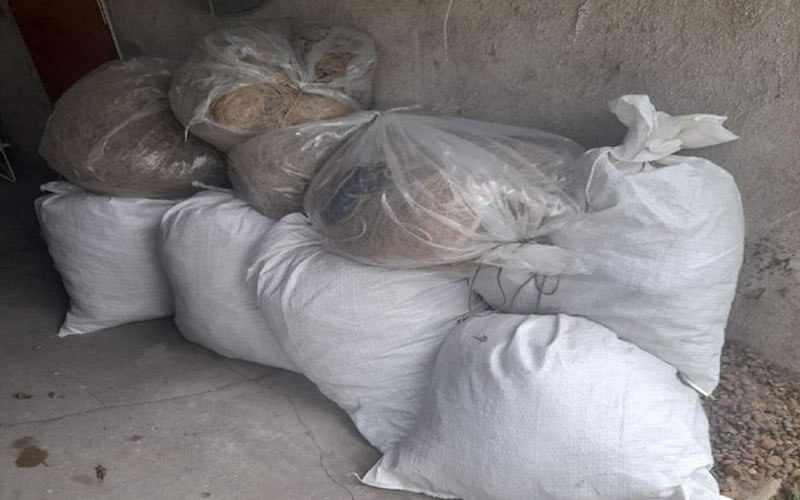 Secuestraron más de 800 metros de redes de pesca