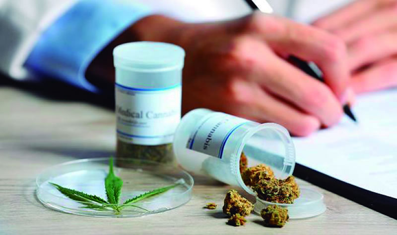 El Tabú en Argentina en torno al Cannabis: Historia, desconocimiento y cambio