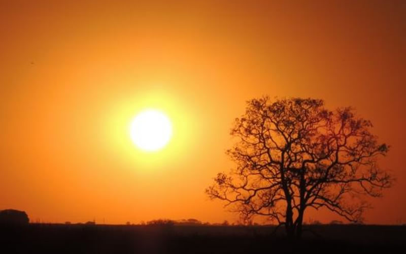 ¿Por qué el Sol es amarillo?: Explicación para niños