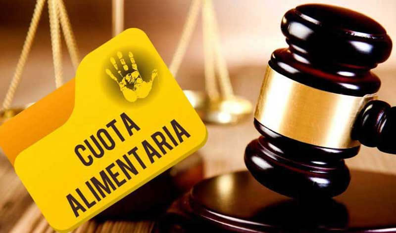 Proceso legal de la cuota alimentaria, desde la mediación a la ejecución