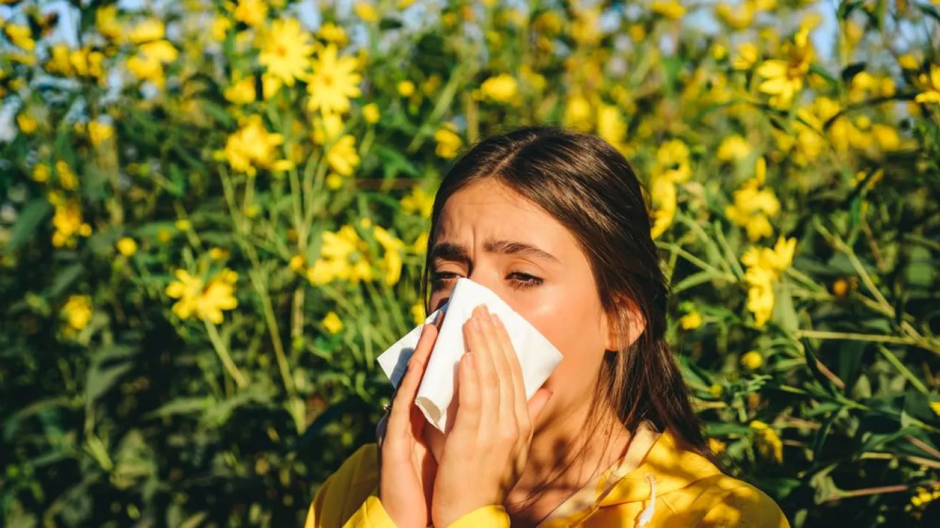 ¿Alergia al polen? Intenta con estas 10 flores hipoalergénicas