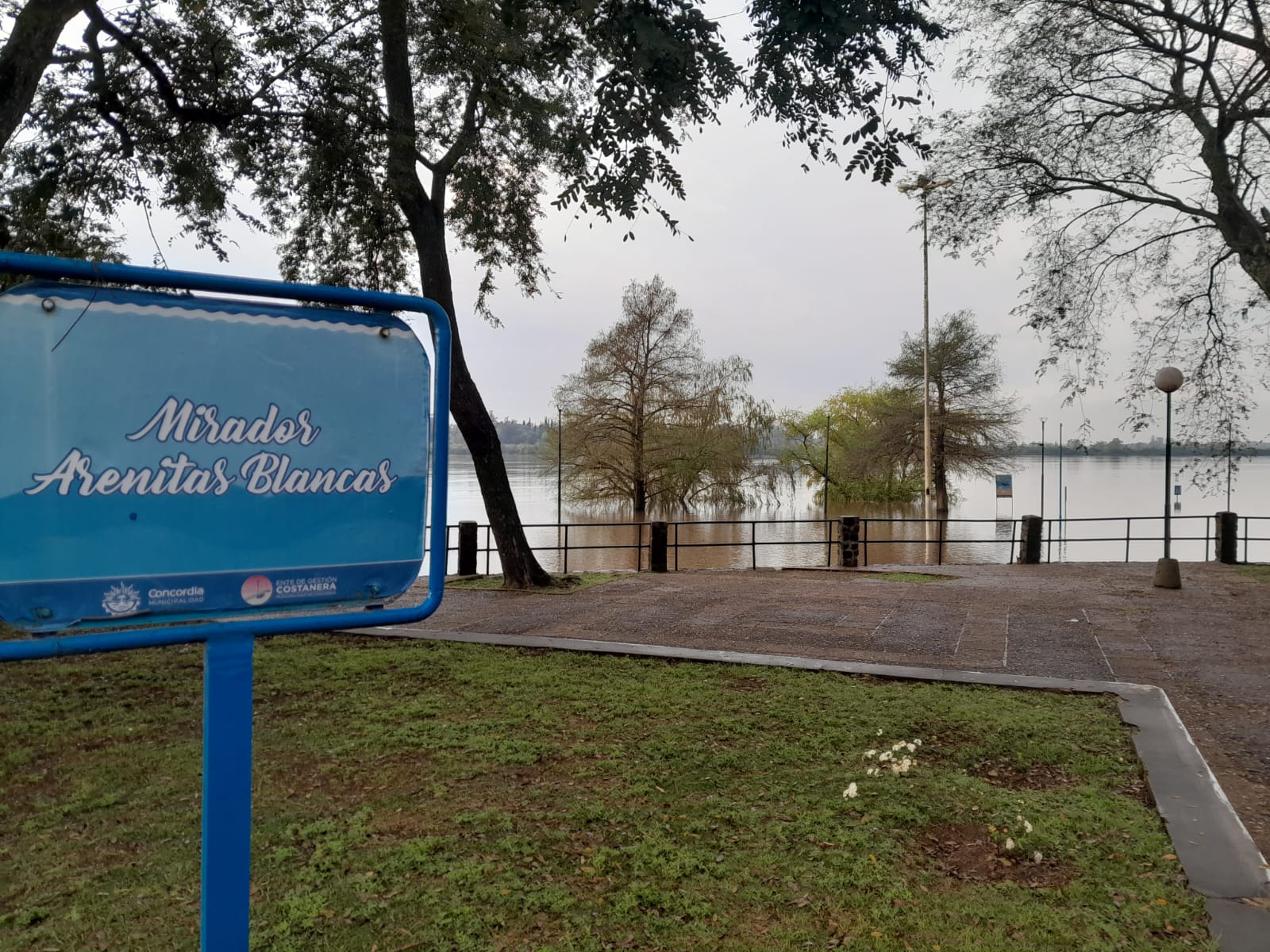 Según hidrología de Salto Grande el Río Uruguay superaría los 11 metros en Puerto Concordia